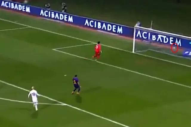 Beşiktaş taraftarları sevinçte