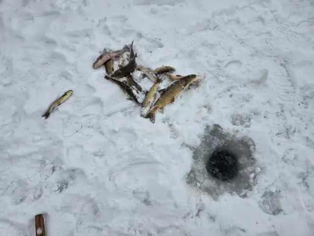 Buz kırma ve balık avı