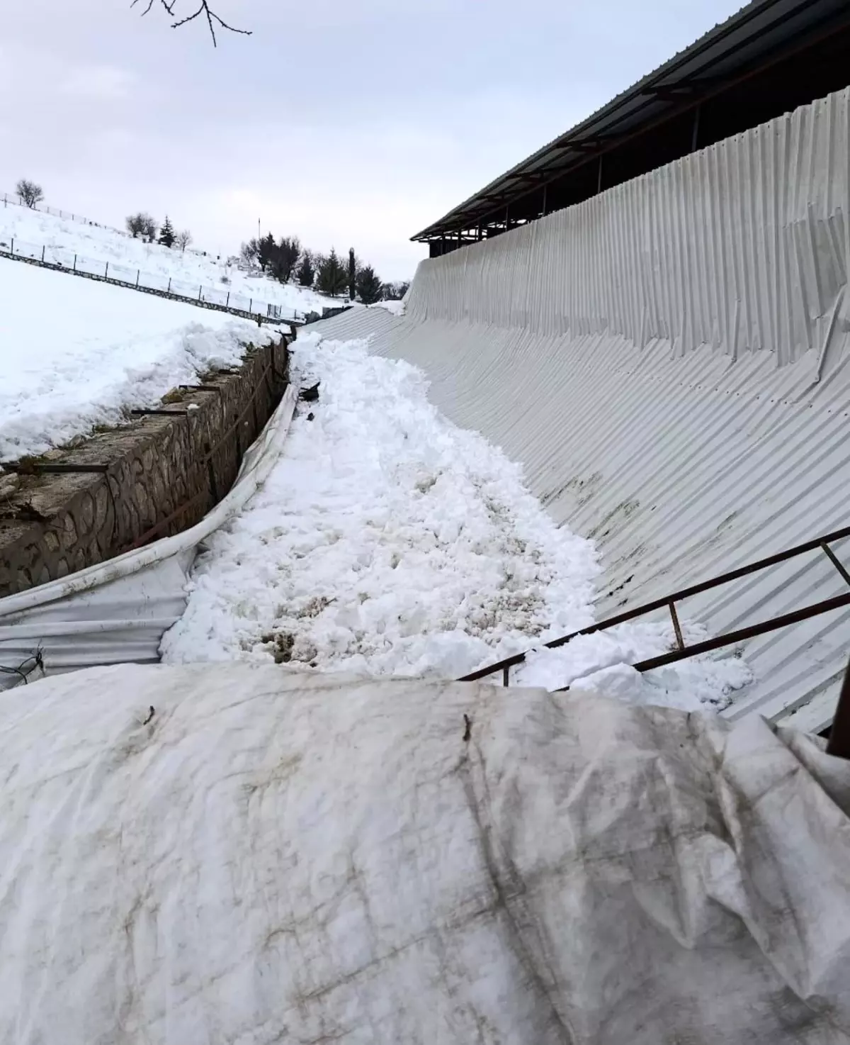 Elazığ'ın Salkaya Köyü'nde Şiddetli Kar Ağırlığı Ahırı Yıktı, Bir İnek Hayatını Kaybetti
