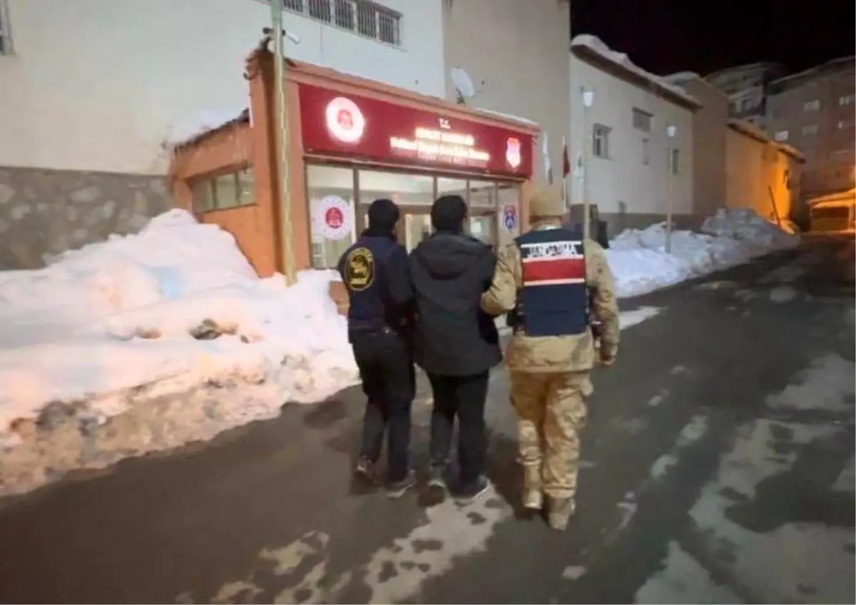 Hakkari'de jandarma operasyonu