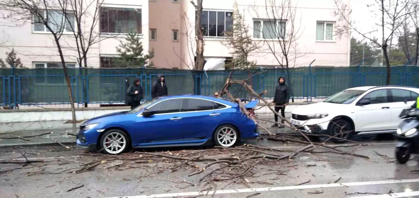 Isparta’da Şiddetli Fırtına Ağaçları Yere Serdi, Araçlar Hasar Aldı