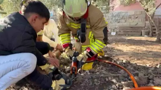Kırıkhan’da Zincire Sıkışan Köpeğin Kurtarılması: İtfaiye Ekiplerinden Hızlı Müdahale