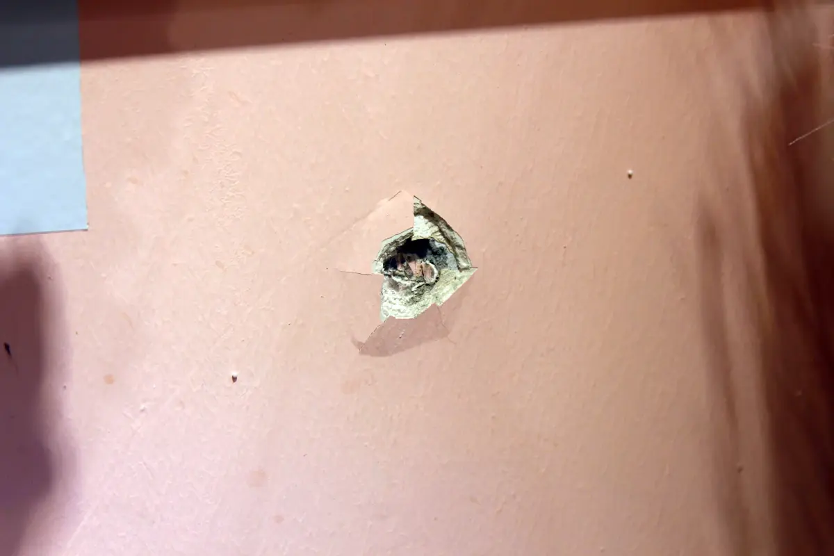 Adana'da Giyim Mağazasına Silahlı Saldırı: Güvenlik Endişeleri Artıyor