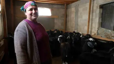 Karlı Kışta Hayvancılık: Adana’nın Feke Köyünde Bir Kadının Mücadelesi