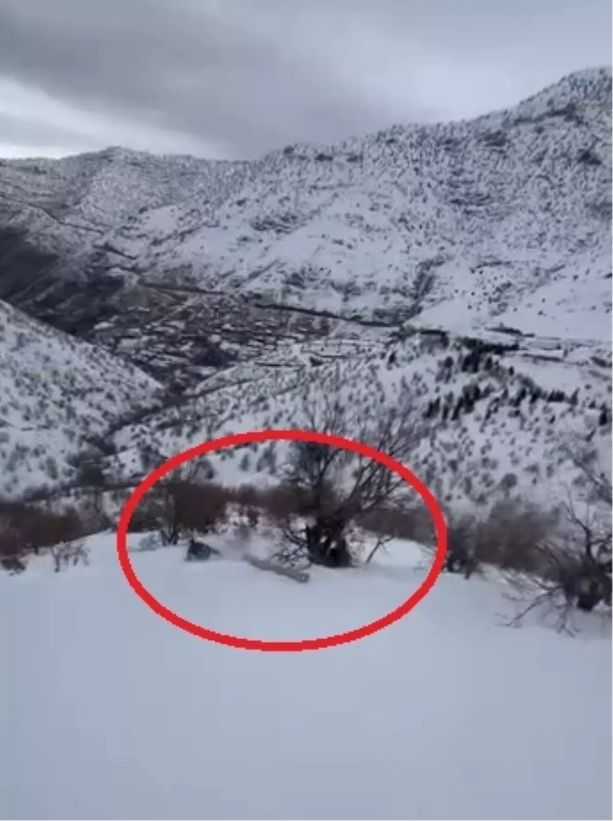 Diyarbakır’da enerji çalışanlarının kaza anı