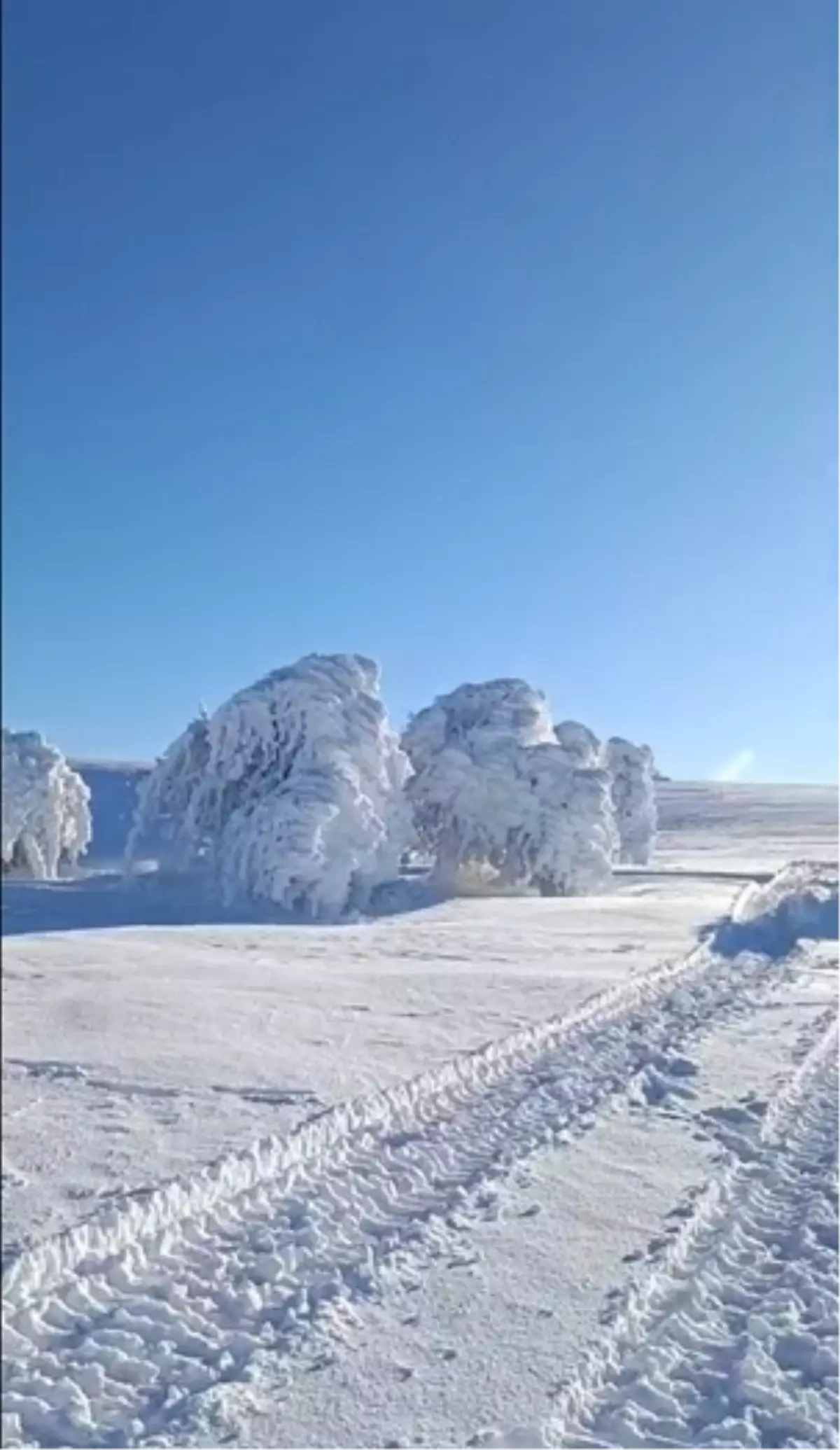 Mudurnu Susuz Yaylası'nda Buzla Örtülü Ağaçlar Büyüleyici Manzaralar Yarattı