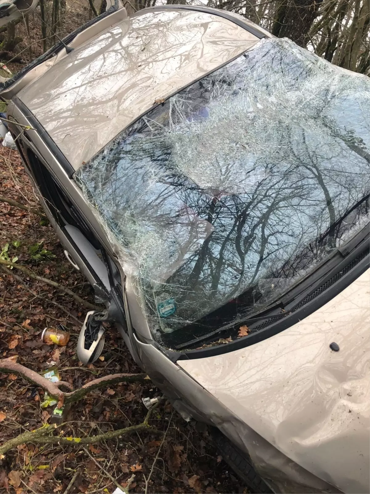 Kırklareli Pazarlı Köyü'nde Kontrol Kaybı: Araç Şarampole Devrildi, 2 Yaralı