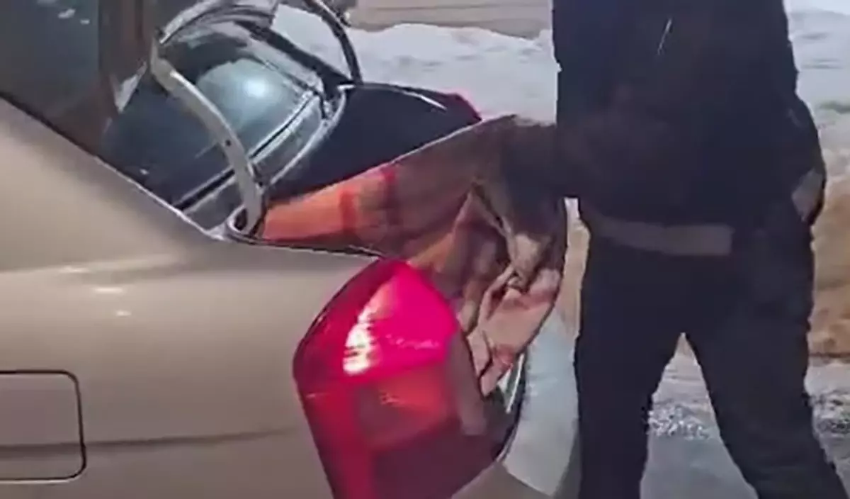 Kars’ta Sınır Kontrolleri: 2 Kaçak Göçmen ve Bir Organizatör Tutuklandı