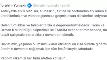 Antalya’da Sel ve Fırtına Sonrası Hasar Tespiti Sürüyor: Tarım Bakanı Yumaklı Açıklıyor
