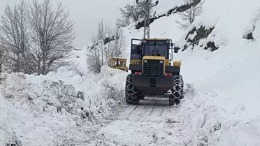 Adıyaman Çelikhan’da Kar Nedeniyle Kapanan Köy Yolları Yeniden Açıldı