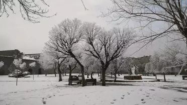 Diyarbakır’da Sıfırın Altında 6°C’ye Düşen Sıcaklık ve Yoğun Buzlanma