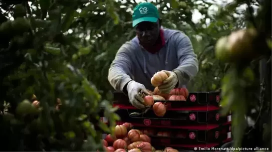 İspanya, Yarı Milyon Belgesiz Göçmene Hızlı Oturma İzni Sunuyor