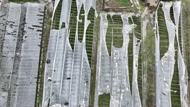 Seydikemer'de Hortum Seraları Yıktı: 100 Dönümde 100 Bin Lira Zarar