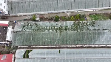 Seydikemer'de Şiddetli Fırtına 100 Dönüm Serayı Yok Etti