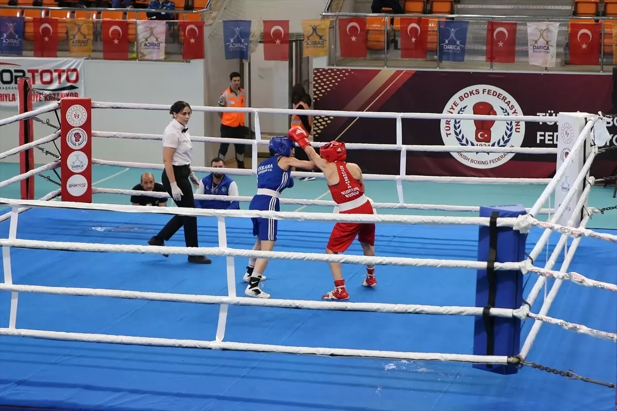 Kocaeli Boks Şampiyonası kapak fotoğrafı