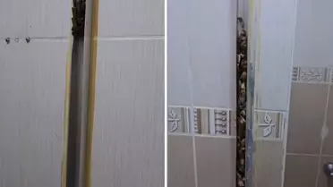 Kiraya Verilen Öğrenci Evi: Kadın Girişte Şok Görüntülerle Karşılaştı