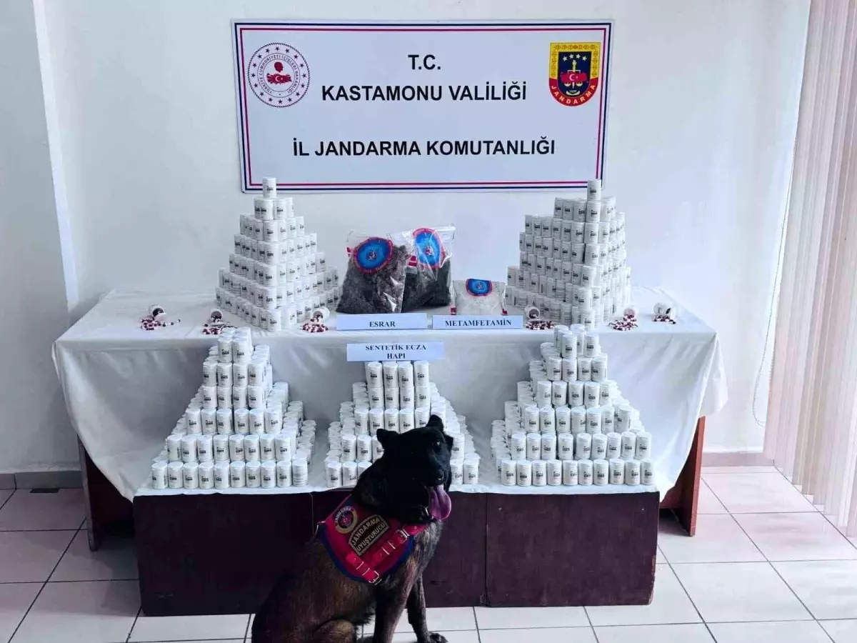 Kastamonu’da Binlerce Sentetik Ecza Hapla Yakalanan Şüpheli, Mülkiyet İddialarını Çürüttü