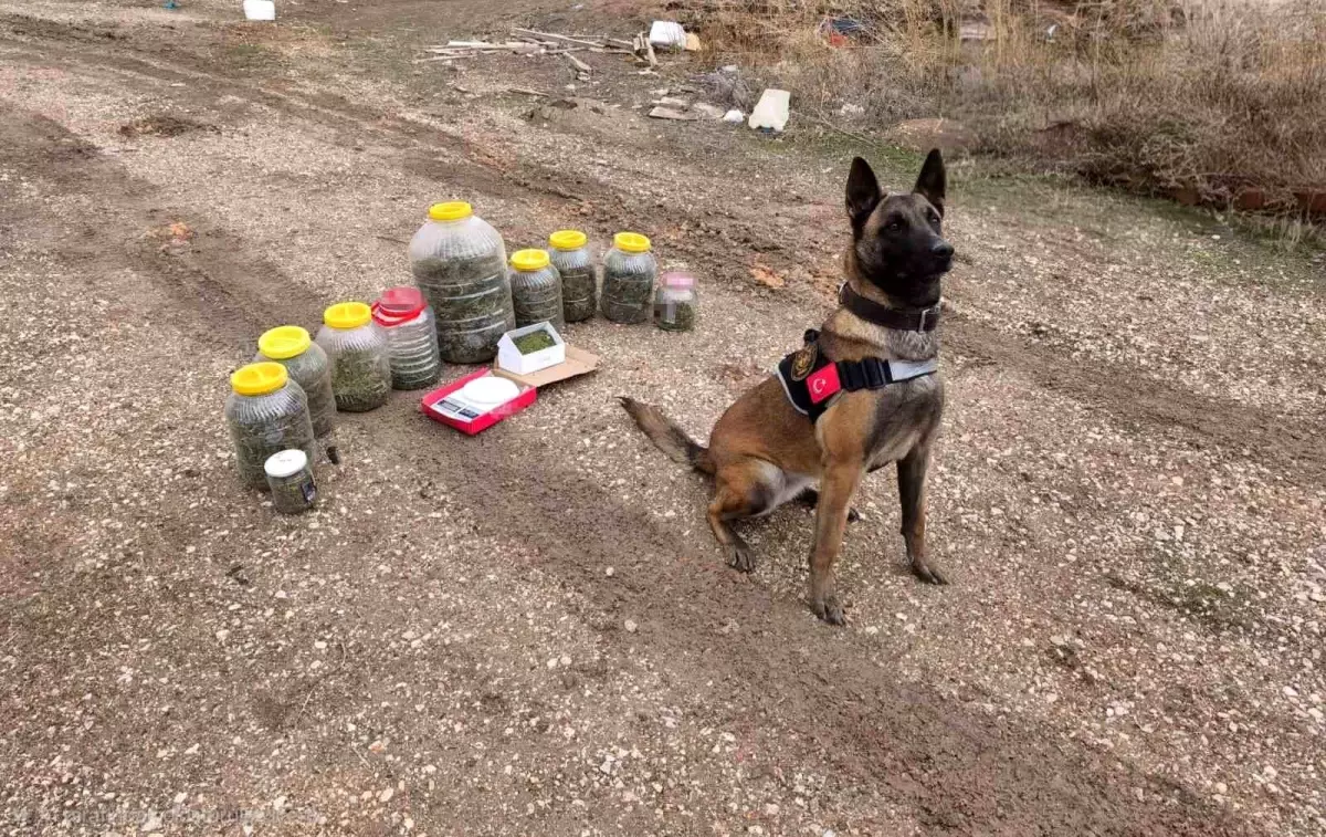 Karaman’da Büyük Uyuşturucu Operasyonu: 1,5 Kg Esrar ve Kenevir Tohumu Ele Geçirildi