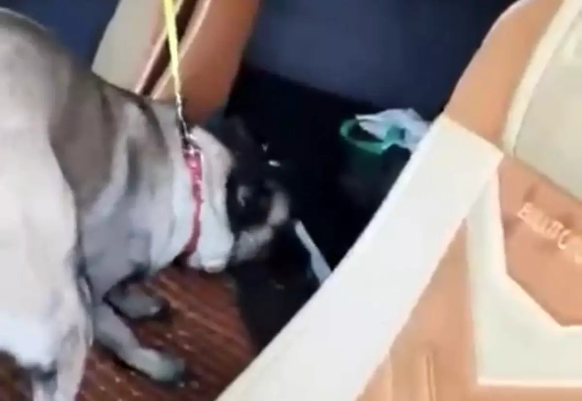 Samsun'da Trafik Denetiminde 450 Gram Metamfetamin Ele Geçirildi