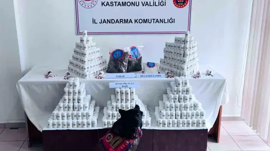 Kastamonu’da Binlerce Sentetik Ecza Hapla Yakalanan Şüpheli, Mülkiyet İddialarını Çürüttü