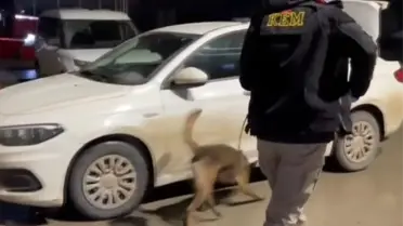 Kahramanmaraş’ta Dev Uyuşturucu Operasyonu: 5 Bin Hap Ele Geçirildi, 3 Şüpheli Tutuklandı