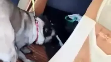 Ele geçirilen metamfetamin paketinin fotoğrafı