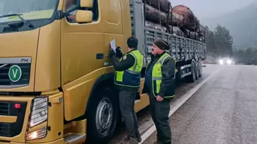 Bolu’da Orman Denetimleri Artıyor: Kaçak Kesim ve Nakliyeye Karşı Sıkı Kontroller