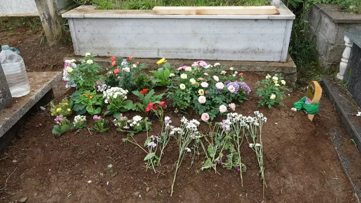 Cezaevinden Gelen Şok Mektup: Cinayet İşleyen Mahkum, Kadının Defnini Kendi Toprağına Yapmak İstediğini Duyurdu