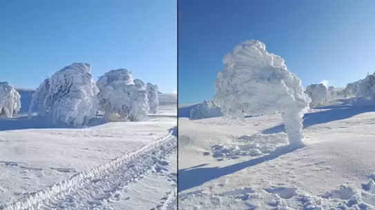 Bolu Mudurnu’da Soğuk Hava Susuz Yaylası’nı Buzla Sarıyor
