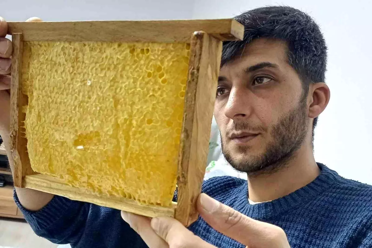 Gaziantep’te Yerli Organik Balın Talebi Rekor Seviyelere Ulaştı