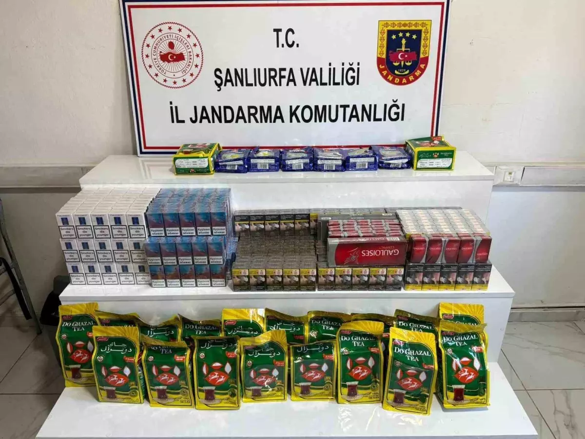 Viranşehir'de Jandarma 6.180 Paket Kaçak Sigara ve Diğer Ürünleri Ele Geçirdi