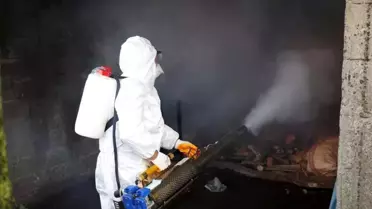 Ordu’da Kahverengi Kokarca Tehdidine Karşı 300 Bin Kışlak İlaçlaması Başlatıldı