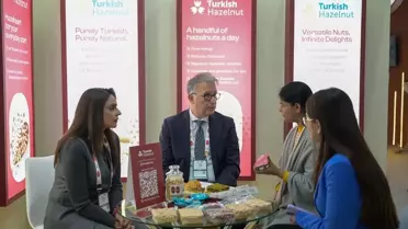 Türk Fındığı Hindistan Pazarında %180 Artışla Rekora Koştu