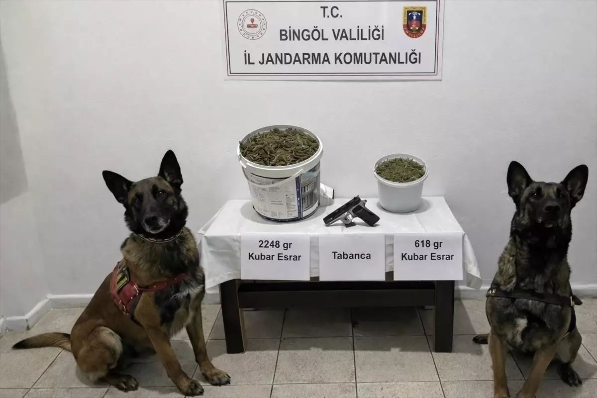 Bingöl Genç İlçesinde Jandarma Büyük Uyuşturucu Operasyonu Gerçekleştirdi