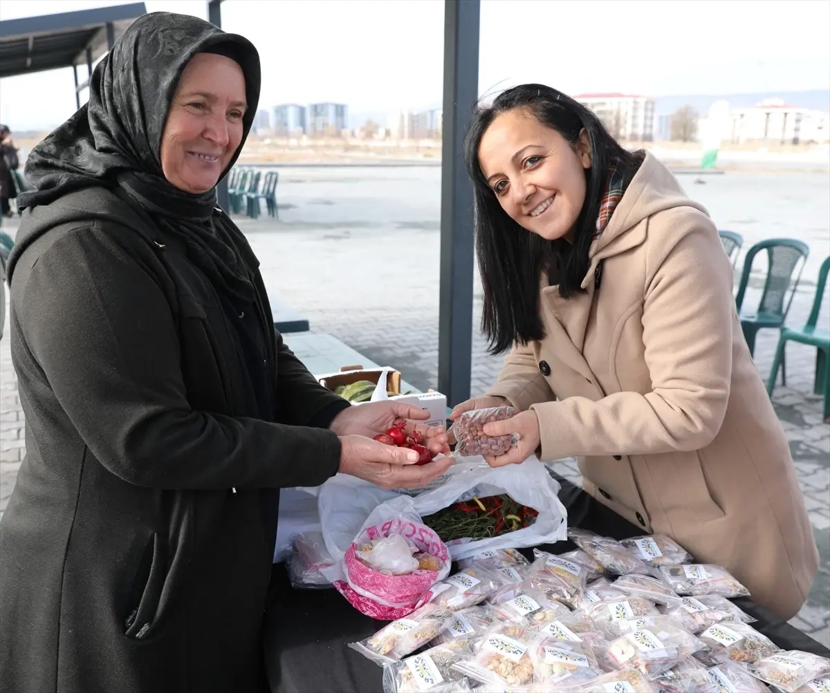 Kocasinan Belediyesi 22.500 Ata Tohumu ile Tarıma Destek Verdi