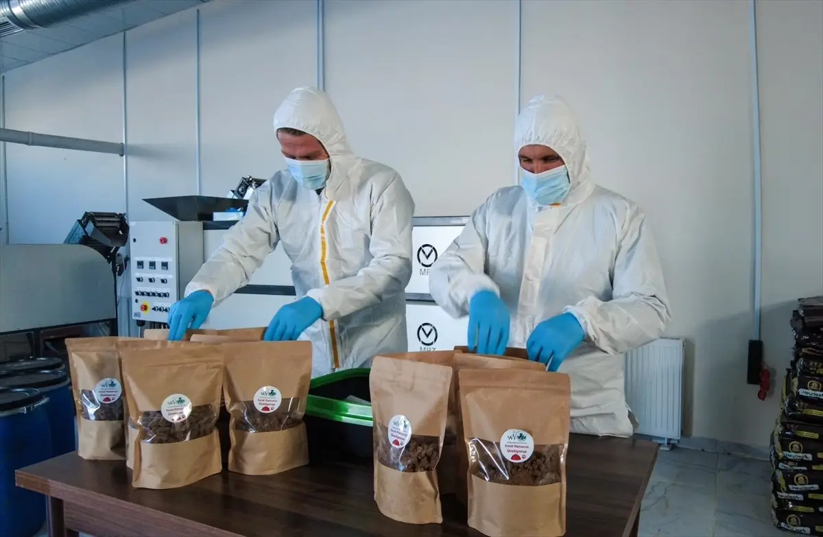 Van Büyükşehir Belediyesi'nden Sahipsiz Hayvanlara Özel Mama Üretim Tesisi