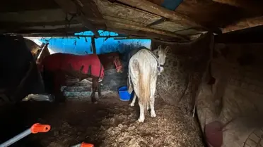 Operasyon sırasında çekilen fotoğraf