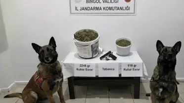 Jandarma ekipleri operasyon sahasında