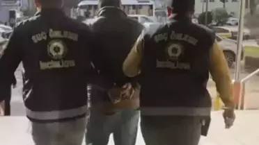 Barınakta bulunan hapların fotoğrafı