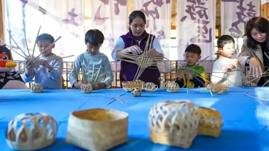 Çin'in Bambu Sektörü Rekor Kırıyor: Üretim Değeri 520 Milyar Yuanı Aştı