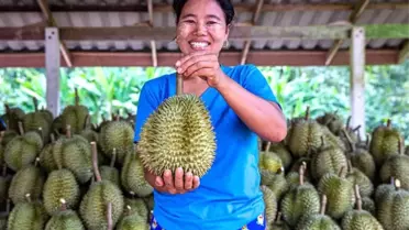 Wuhan‑Bangkok Direkt Hava Kargo Rotası Resmen Başladı