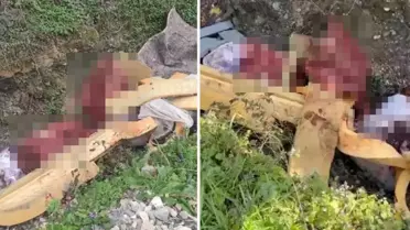 Erenler’de Çalı Alanına Hayvan Kemiği Atan Şüpheliler Gözaltına Alındı