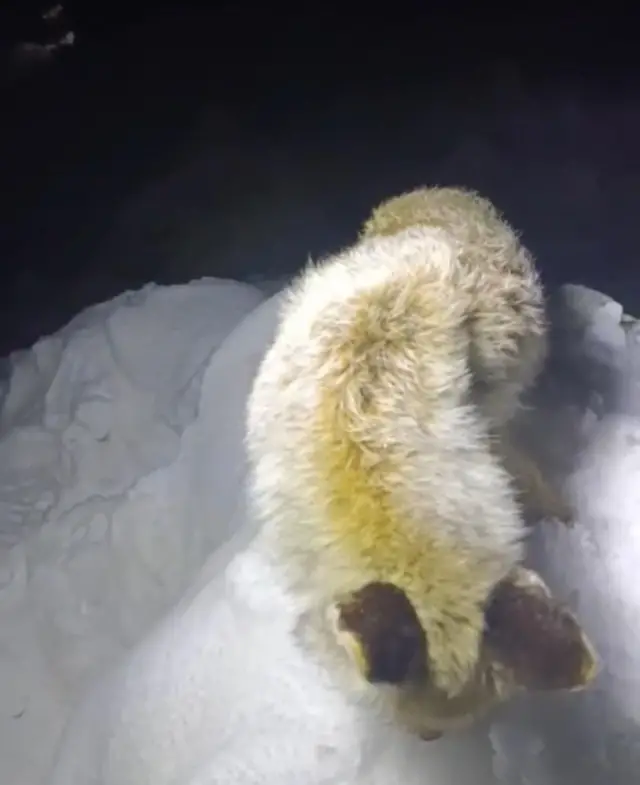 Karla kaplı Yüksekova manzarası