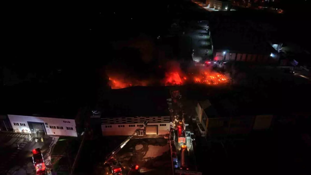 Düzce'deki Strafor Fabrikasında Şiddetli Yangın Rüzgarla Büyüyor