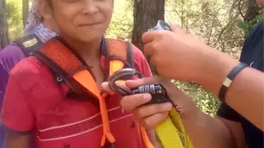 Adana’da Kaybolan 11 Yaşındaki Çocuk Güvenli Bir Şekilde Ailesine Teslim Edildi