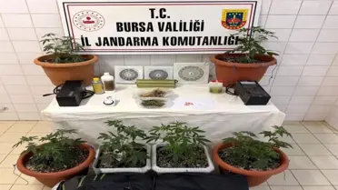 Bursa’da Yasa Dışı Uyuşturucu Üretim Tesisi Çökertildi
