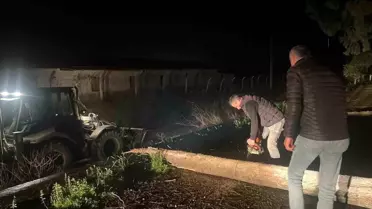 Germencik’te Şiddetli Fırtına Mursallı Mezarlığı’nda Ağaçları Devrildi