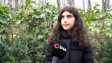 Kartepe'de ATV Çatışması: Tatilciler ve İşletmeciler Arasında Şiddetli Kargaşa