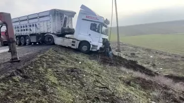 Nusaybin'de TIR Kontrolden Çıktı: Hafif Yaralanmalar ve Trafik Kesintisi