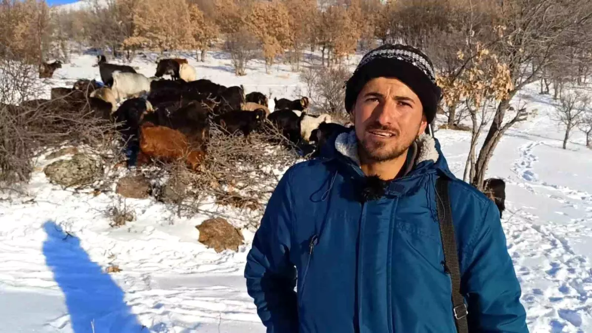 Malatya’da Hayati Açık, Zorlu Kış Koşullarında Hayvancılıkta Başarı Hikayesi